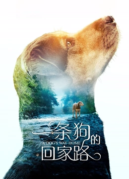 海报背景